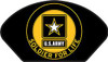 US Army Iraqi Freedom Veteran Patch