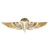 Marine Corps Parachutist Wings