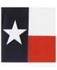 Texas Flag Bandana