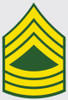 U.S. Army E-8 Mst. Sgt. Decal