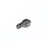 Silver Oak Leaf Cluster