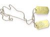 Gold Mistake Dog Tags