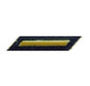 Male Army Service Stripe - Gold on Blue