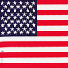 American Flag Bandana