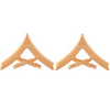 LCPL Lance Corporal Gold Chevrons