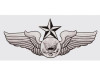 US Air Force Enlisted Senior Aircrew Badge 5.5"x2.5" Decal