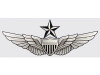 Army Senior Aviator Wings Decal