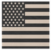 Subdued Black and Tan American Flag Bandana