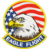Eagle Flight Patch