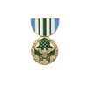 Joint Service Commendation Medal Hat Pin