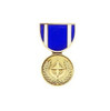 Nato Medal Hat Pin