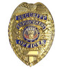 Security Badge - Enforcement Officer