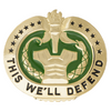US Army Drill Sergeant Badge - This We'll Defend
