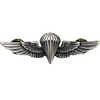 Navy/ Marine Corps Parachutist Wings
