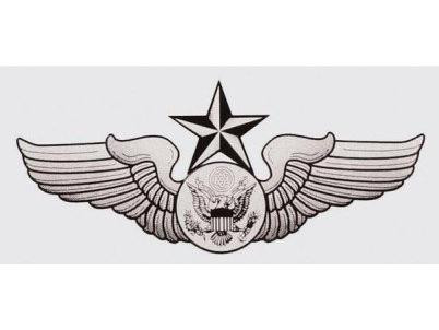 USAF 実物 エアクルー章（Aircrew Badge 新品未使用 ゲーム・おもちゃ・グッズ ミリタリー