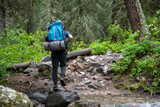 Wilderness Survival Skills: 4 Tips for Surviving in the Woods for 24 Hours
