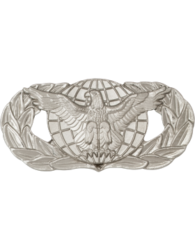 Air Force Badge Force Protection