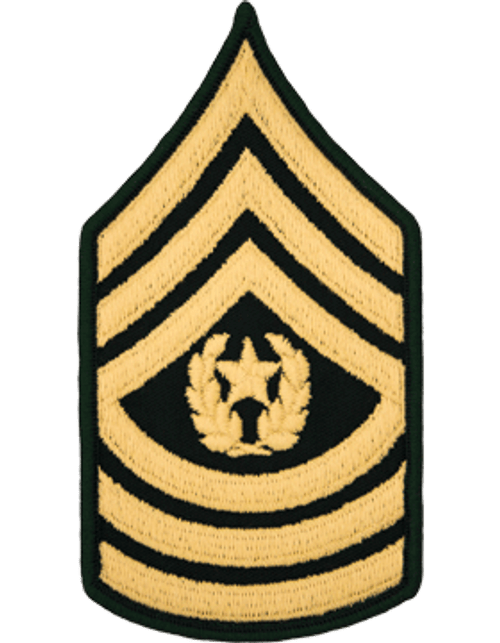 E9 Command Sergeant Major Dress Green Rank Male E9 Command Sergeant Major Dress Green Rank Male