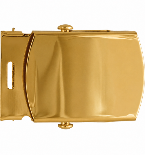 Solid Brass NO Shine Web Belt Buckle