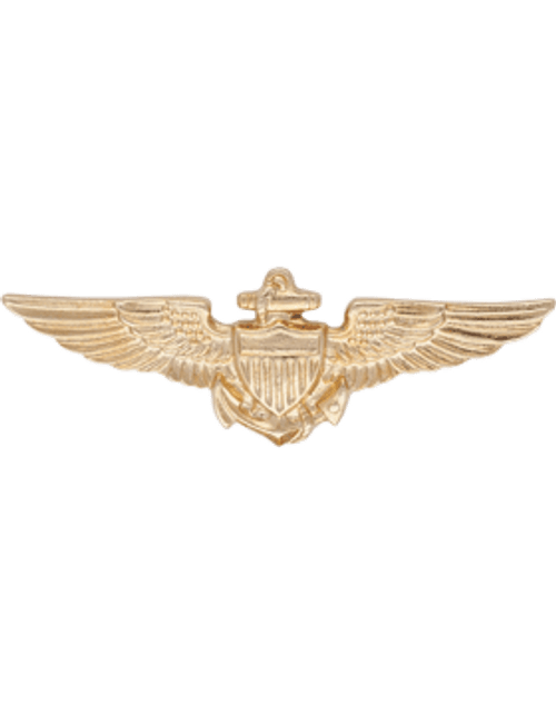 Naval Aviator Pilots Wings Naval Aviator Pilots Wings