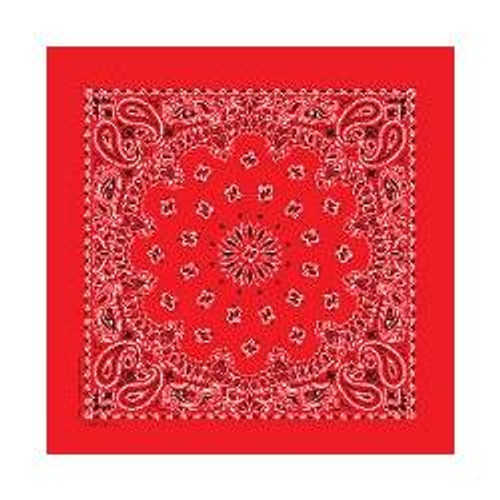 Red Paisley Bandana Red Paisley Bandana