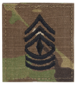 Scorpion First Sergeant Rank With Fastener