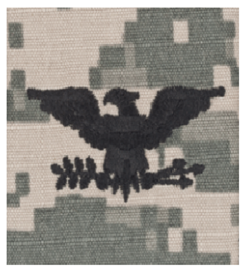 Sew On Colonel Rank Sew On Colonel Rank
