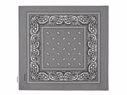 Gray Paisley Bandana