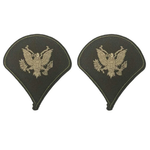 AGSU Chevron - Specialist E-4 AGSU Chevron - Specialist E-4