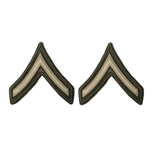 AGSU Chevron - Private E-2 AGSU Chevron - Private E-2