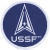 Space Force Logo Patch
