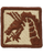 0018 Airborne Corps Desert Patch