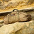 3-In-1 Recon Gear Bag Coyote