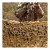 Brown Camouflage Netting Hunting Series