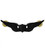 Army Aviation Aircraft Crewman Badge - Silver or Black