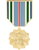  Joint Service Achievement Hat Pin