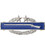 Combat Infantry Badge 3rd Award 