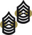 Master Sergeant Marine Corps Rank