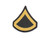 Private First Class Dress Green Male Rank