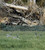 Camo Systems 8ft x 20ft Basic Series Reversible Green/Brown Camo Netting 