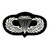Jump Wings Parachutist Wings Patch