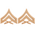 CPL Corporal Gold Chevrons 