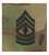 Sew On Scorpion First Sergeant Rank