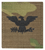 Scorpion Colonel Rank With Fastener