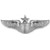 United States Air Force Senior Pilot Badge