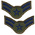 Air Force Chevron Subdued (Pair) Airman First Class