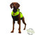 Firstwatch Dog Vest