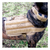 K9 MOLLE Vest