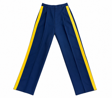 Female Army Dress Blue Pants