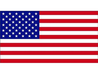 3x5 Ft Thin Multi-Line Flag - Red, Blue, Green Support Banner For Police, Fire, USA